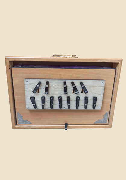 Shruti-Box