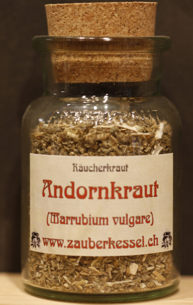 Andornkraut