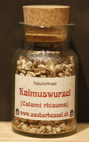 Kalmuswurzel