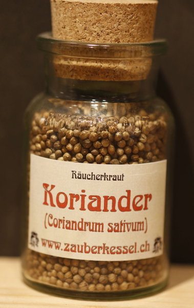 Koriander