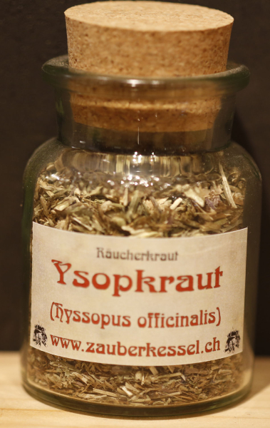 Ysopkraut